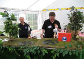 The bar at the conference in Shropshire, 2011